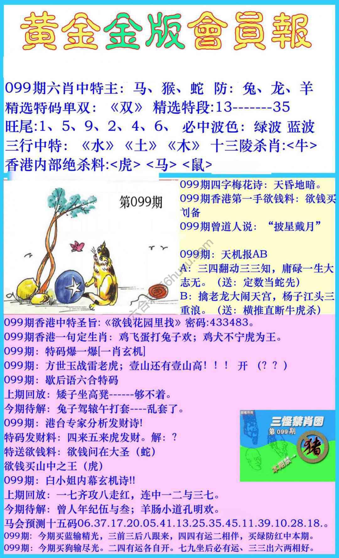 黄金金版会员报