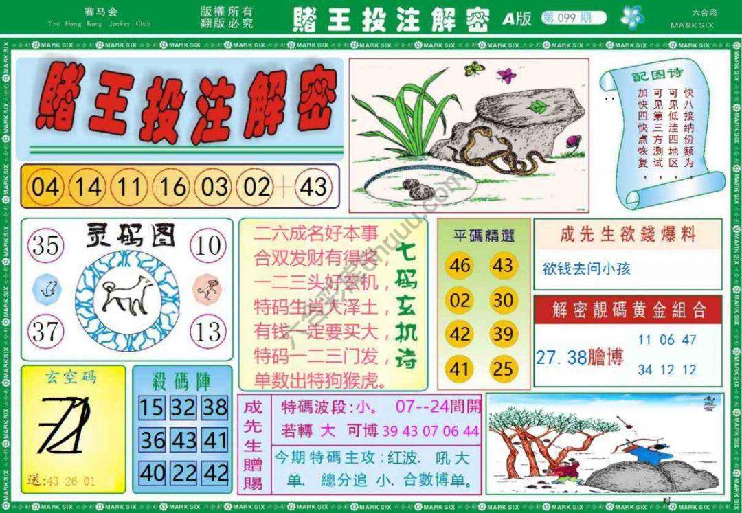 赌王投注解密
