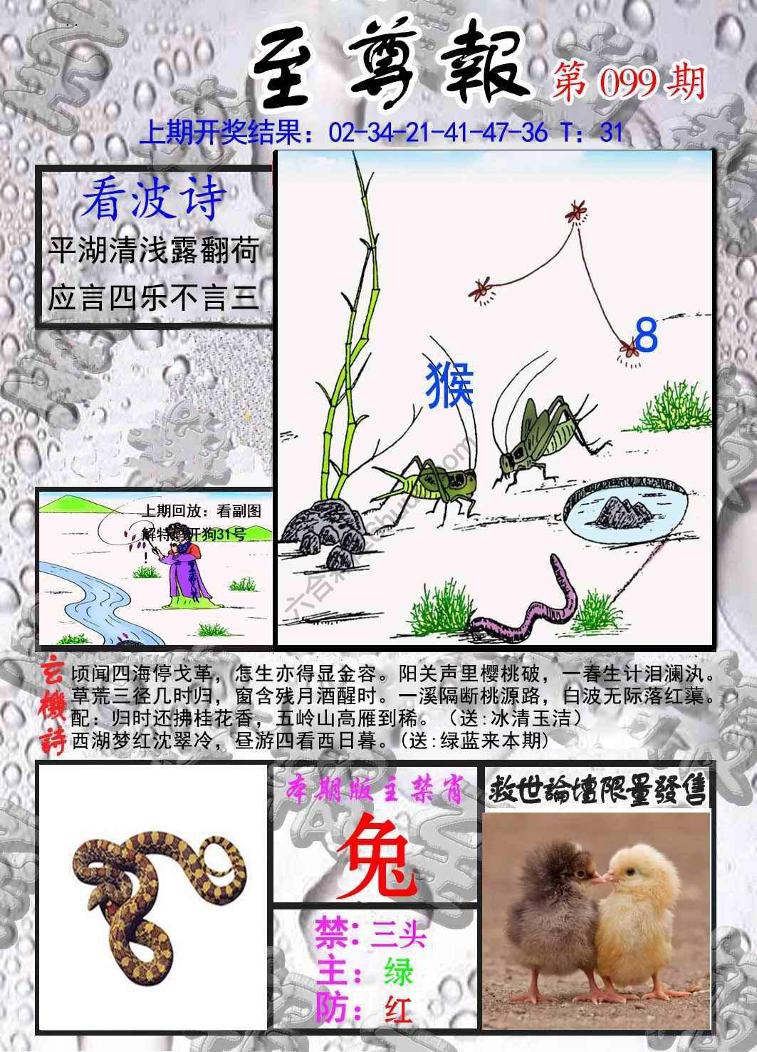 至尊报