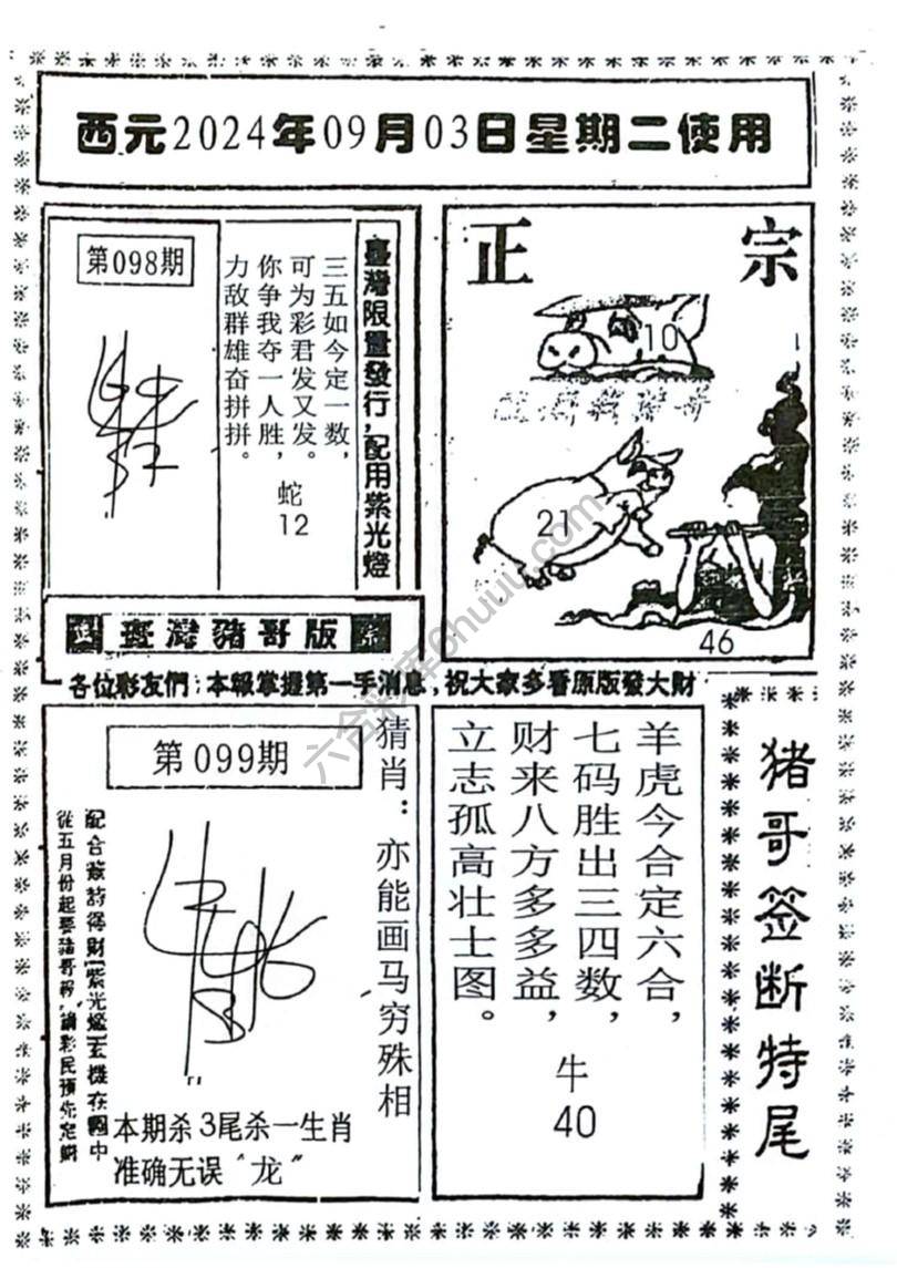 猪哥签断特尾