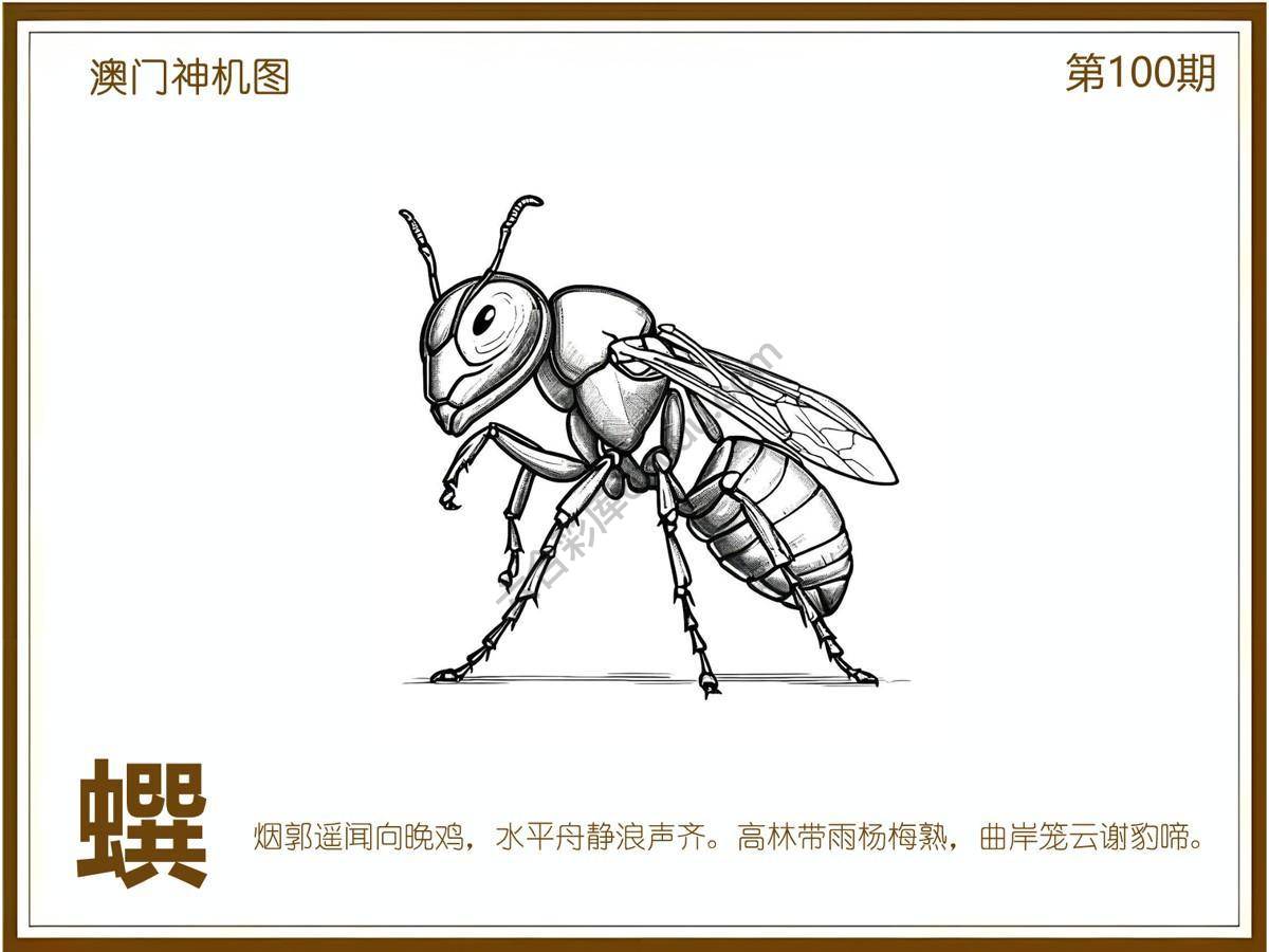 澳门神机图