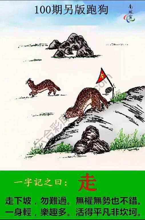另版跑狗