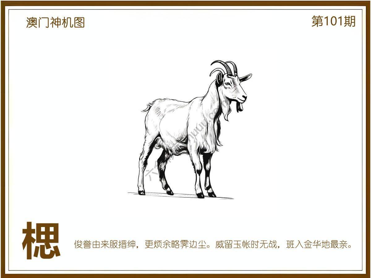 澳门神机图