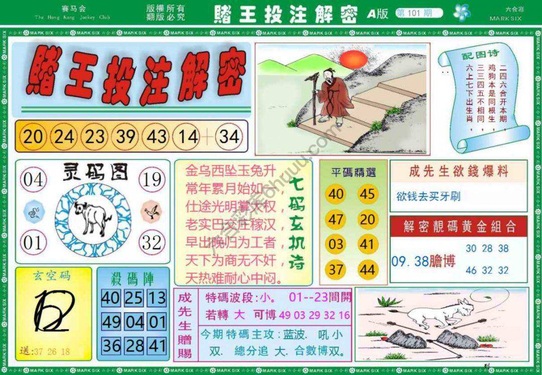赌王投注解密
