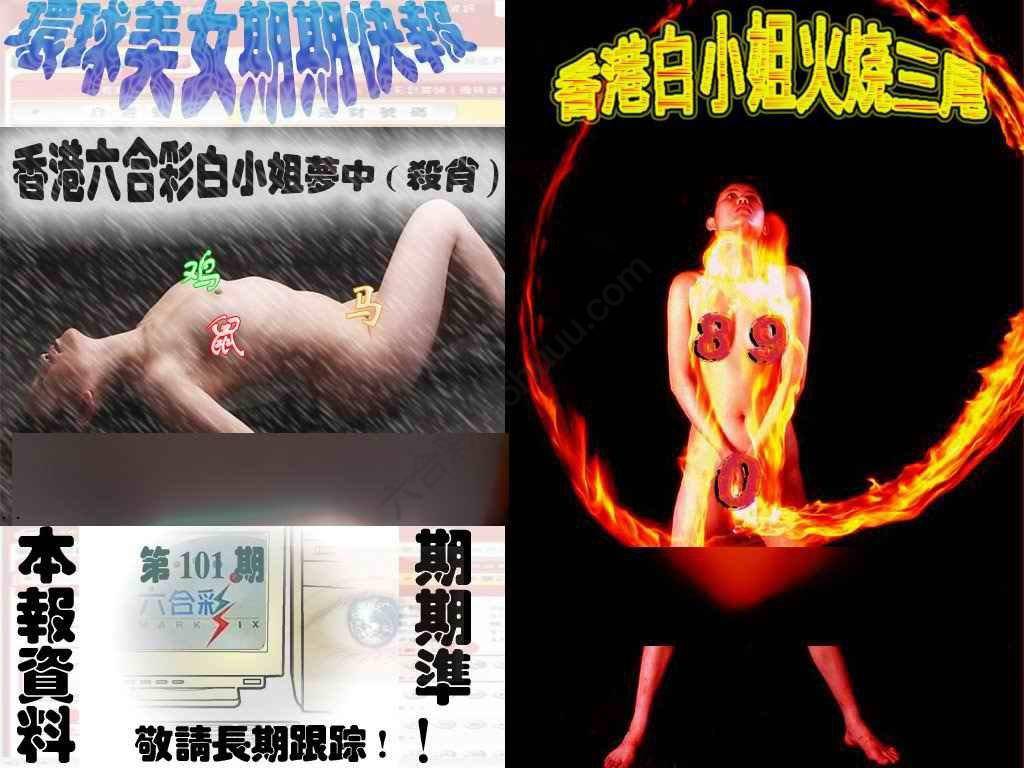 环球美女特码报