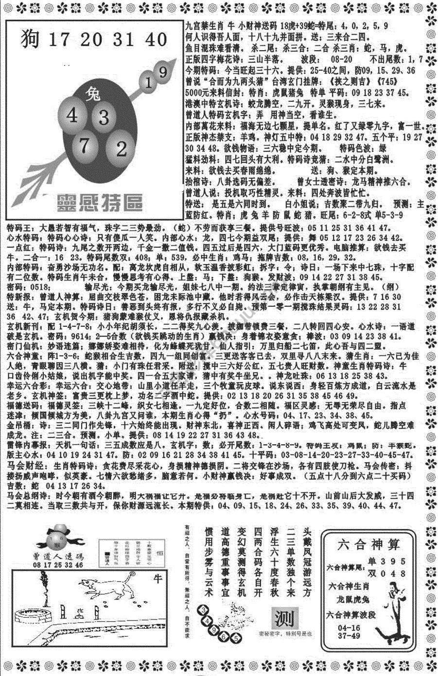 新香港彩霸王
