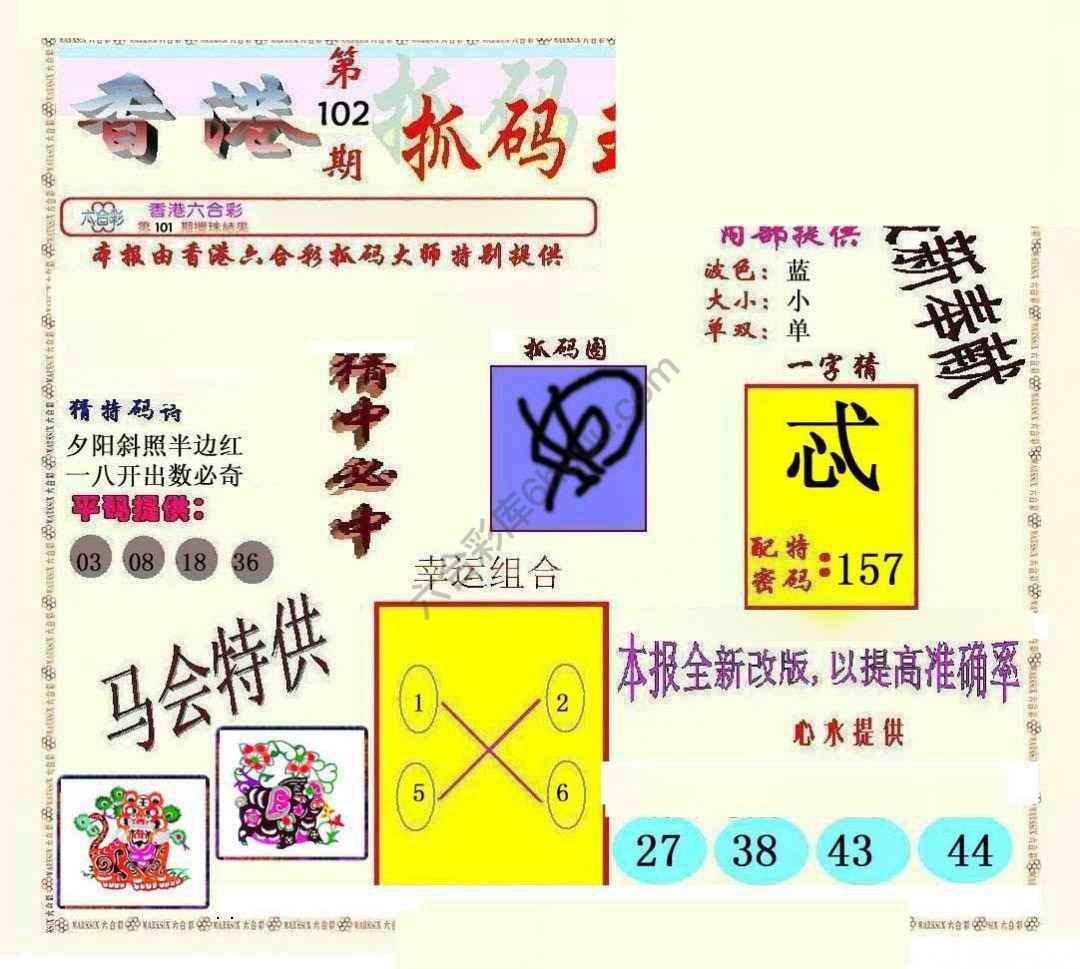 新抓码王