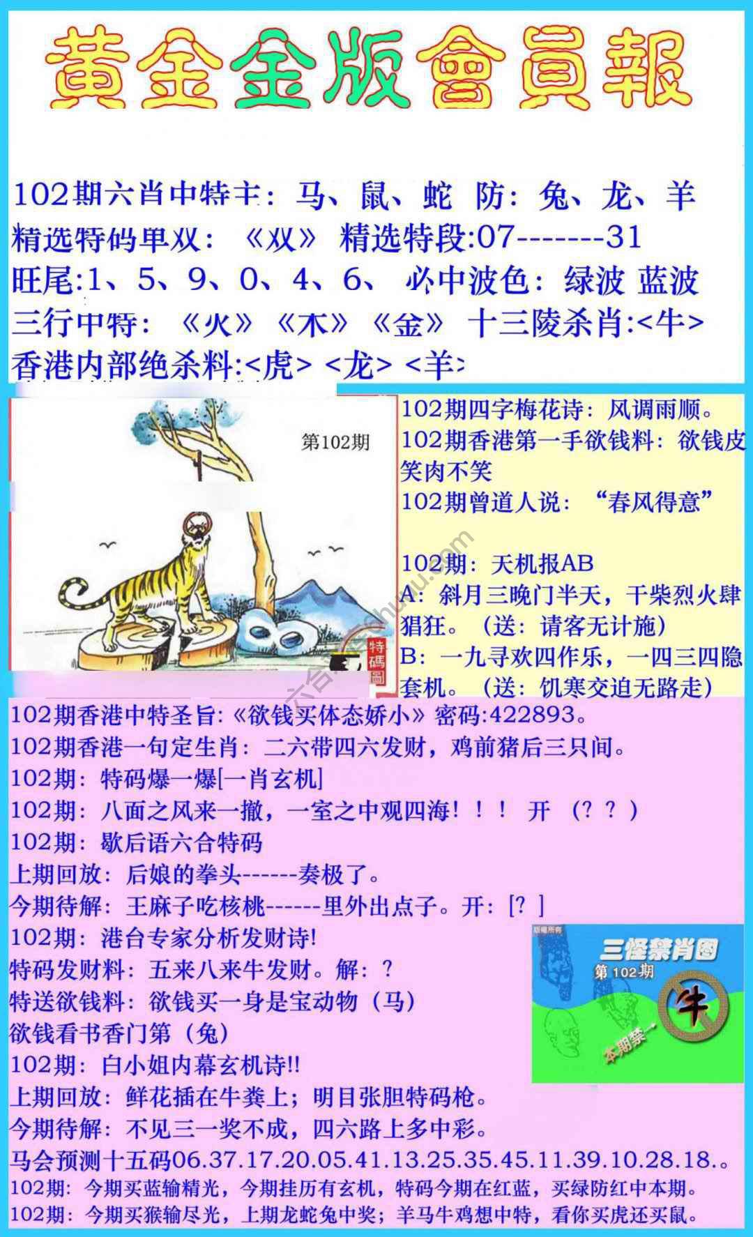 黄金金版会员报