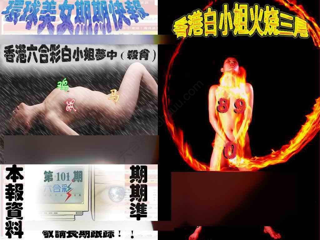 环球美女特码报