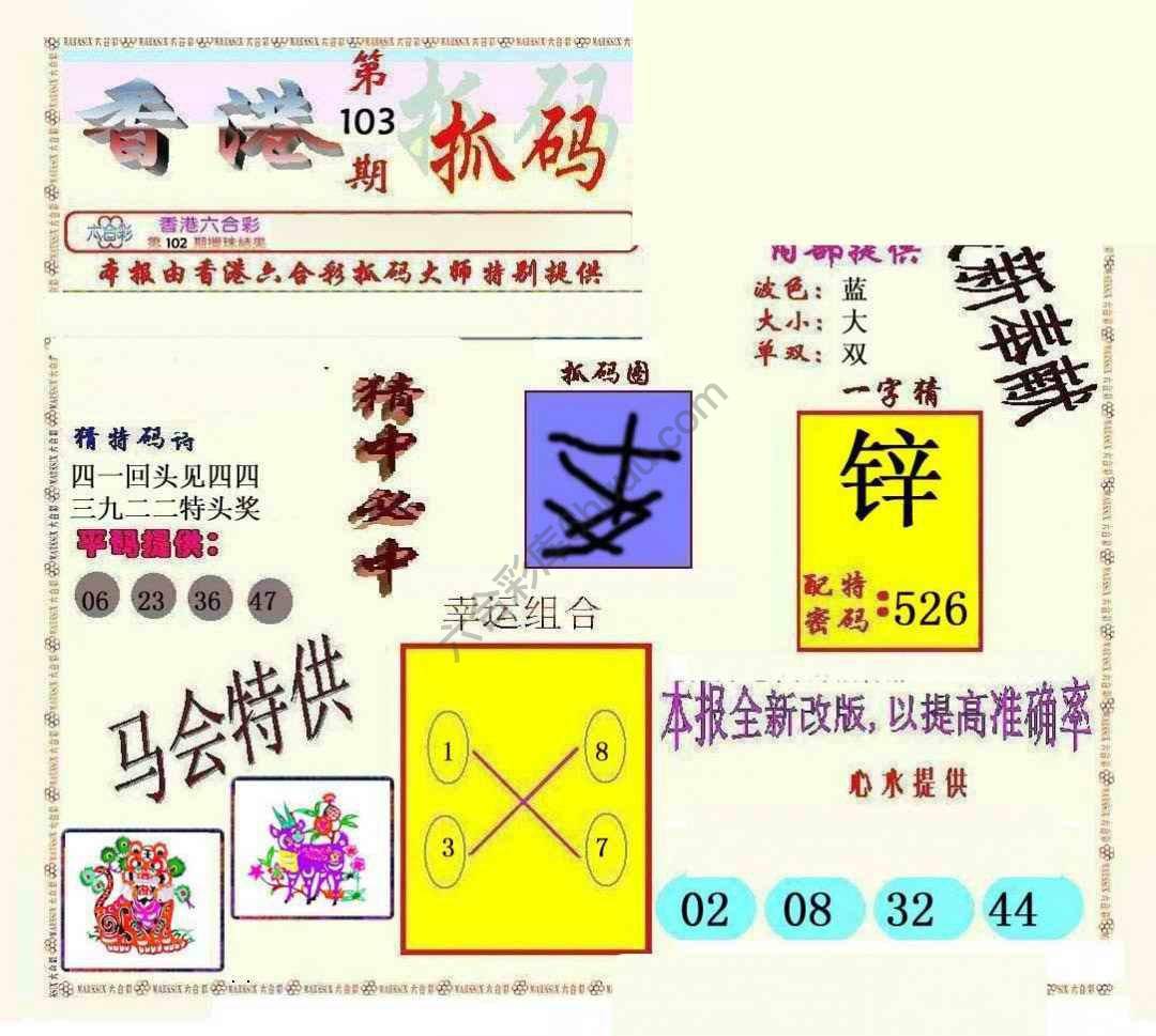 新抓码王