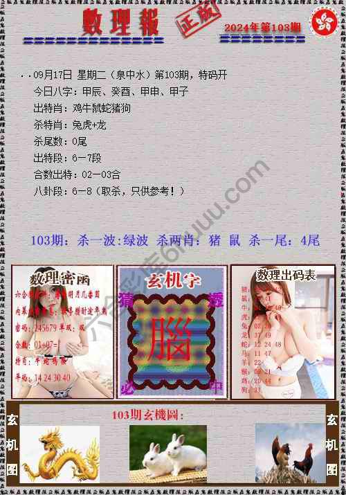 数理报