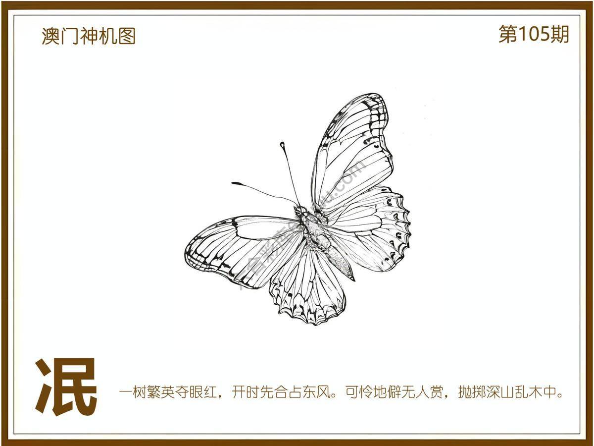 澳门神机图