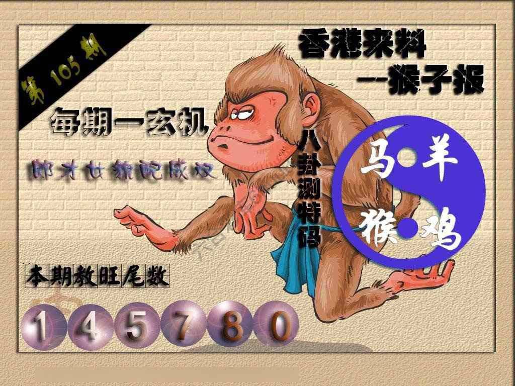 猴子报
