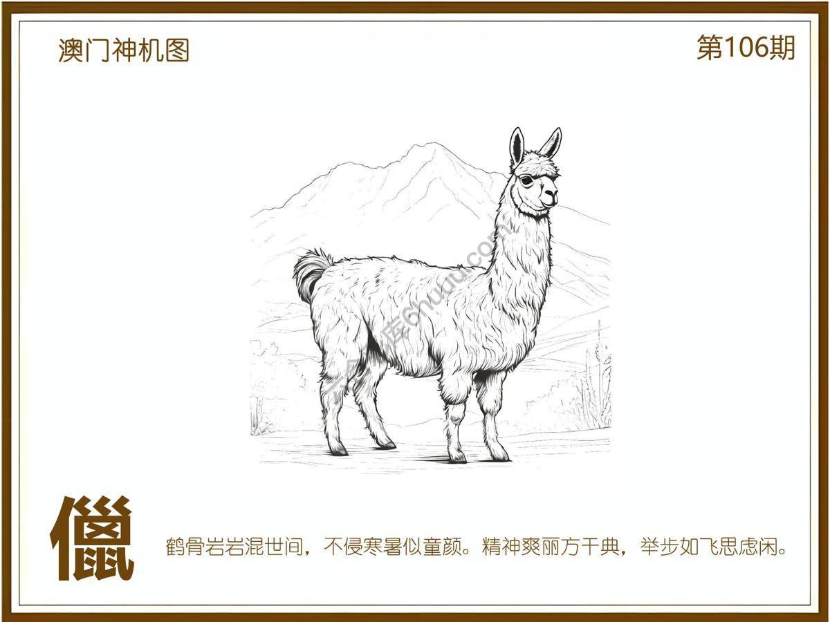 澳门神机图