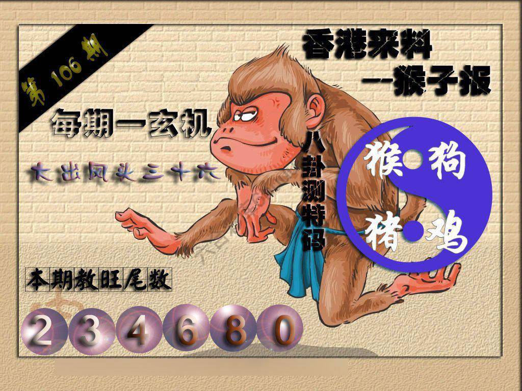 猴子报