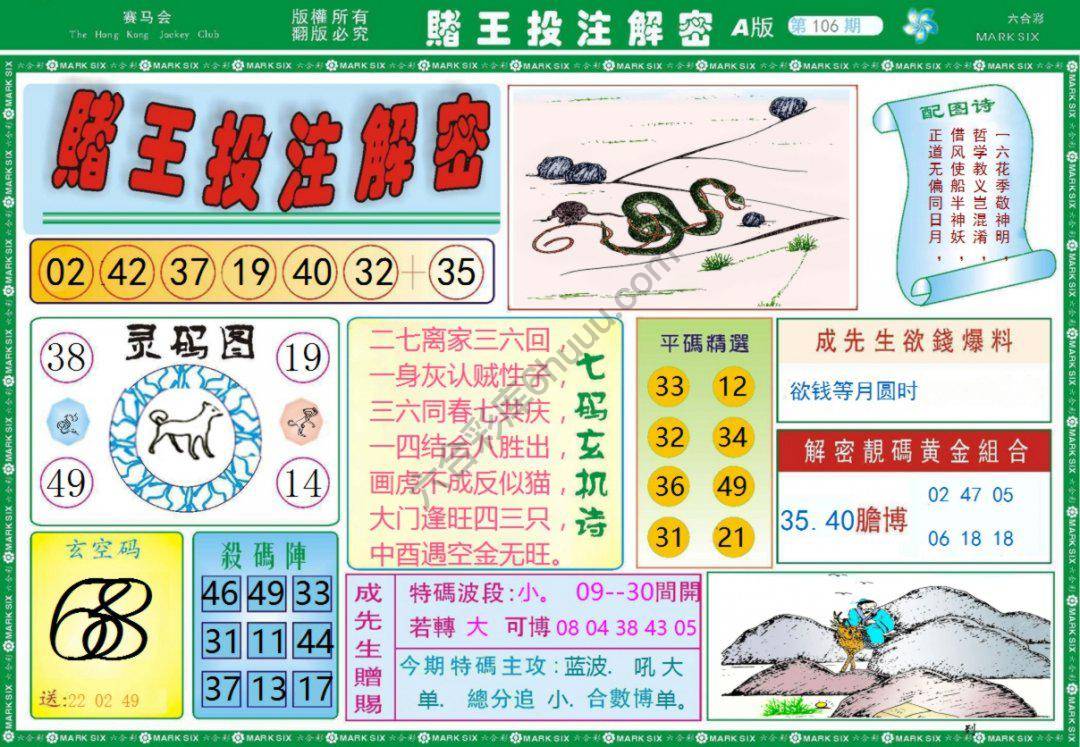 赌王投注解密