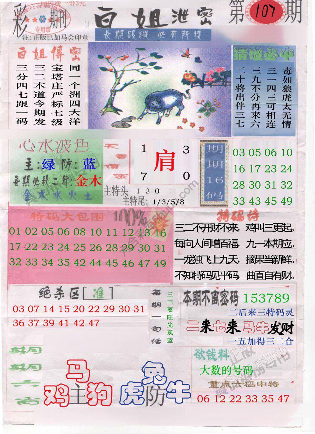 白姐泄密