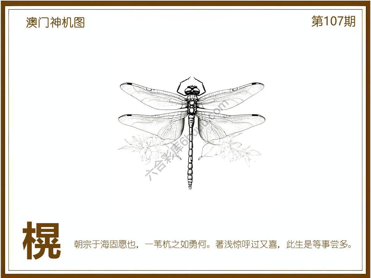 澳门神机图
