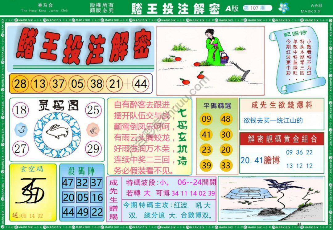 赌王投注解密