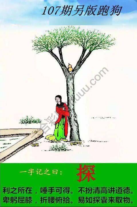 另版跑狗