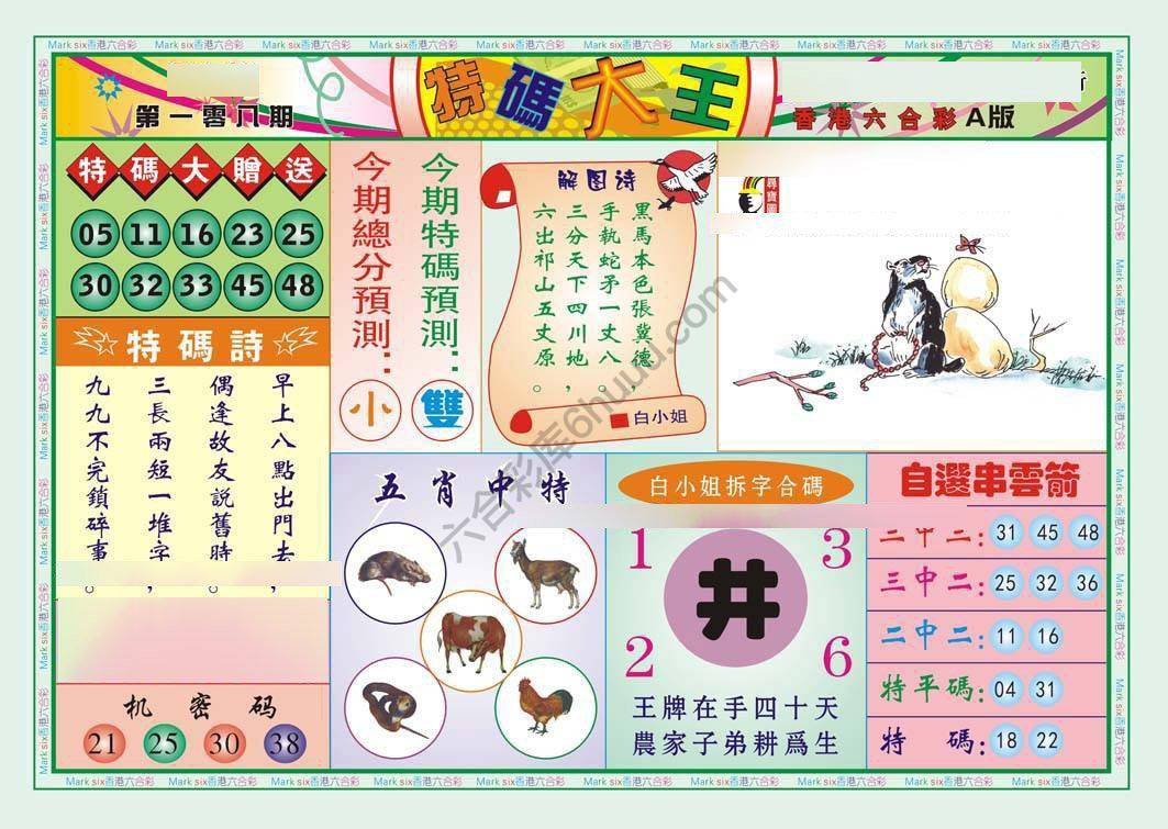 特码大王