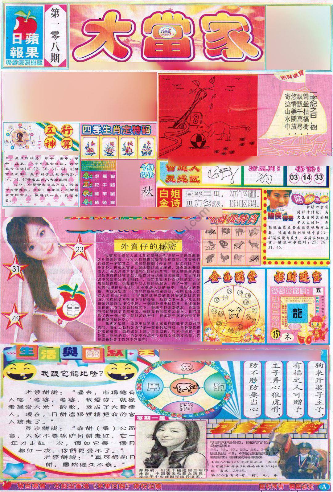 大当家