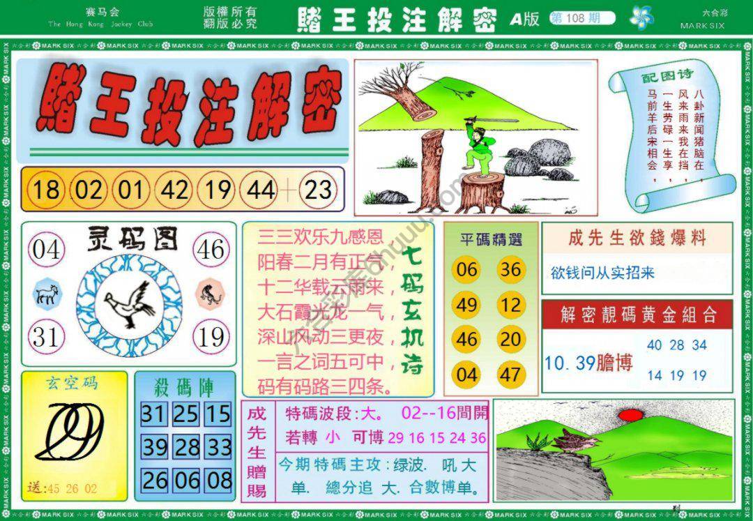 赌王投注解密