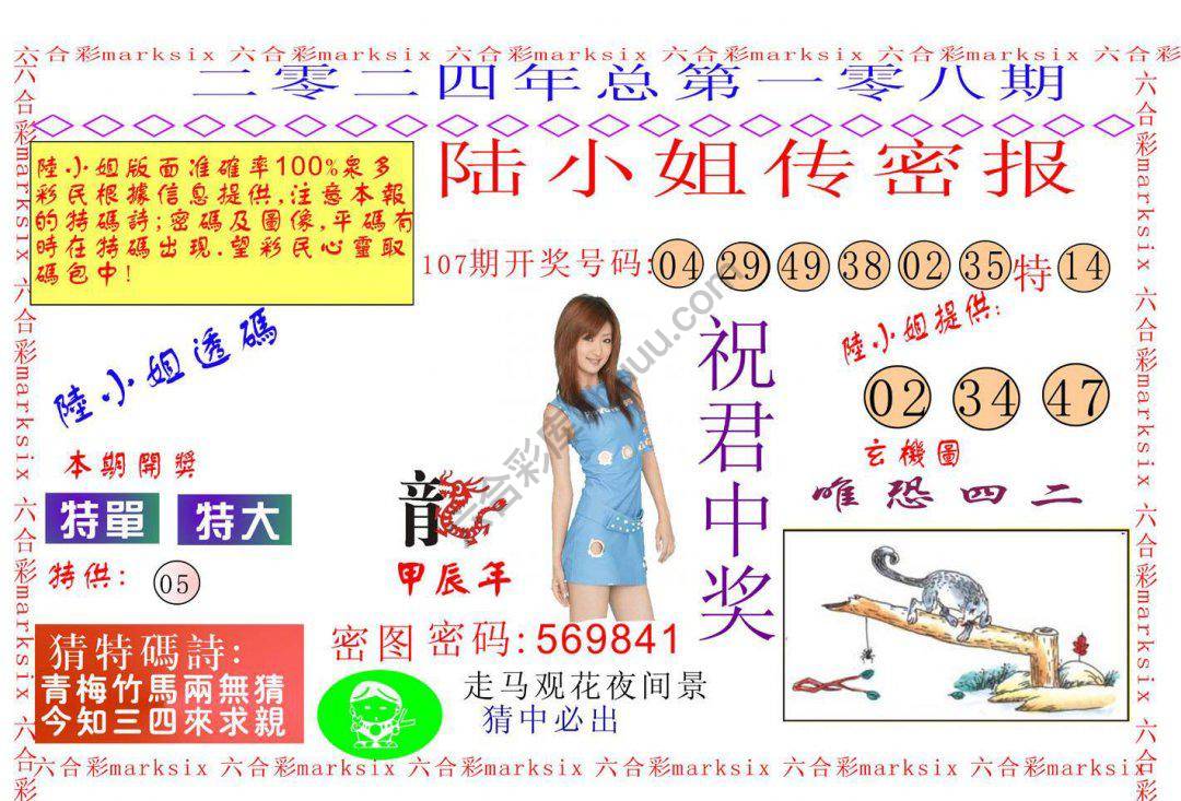 陆小姐传密