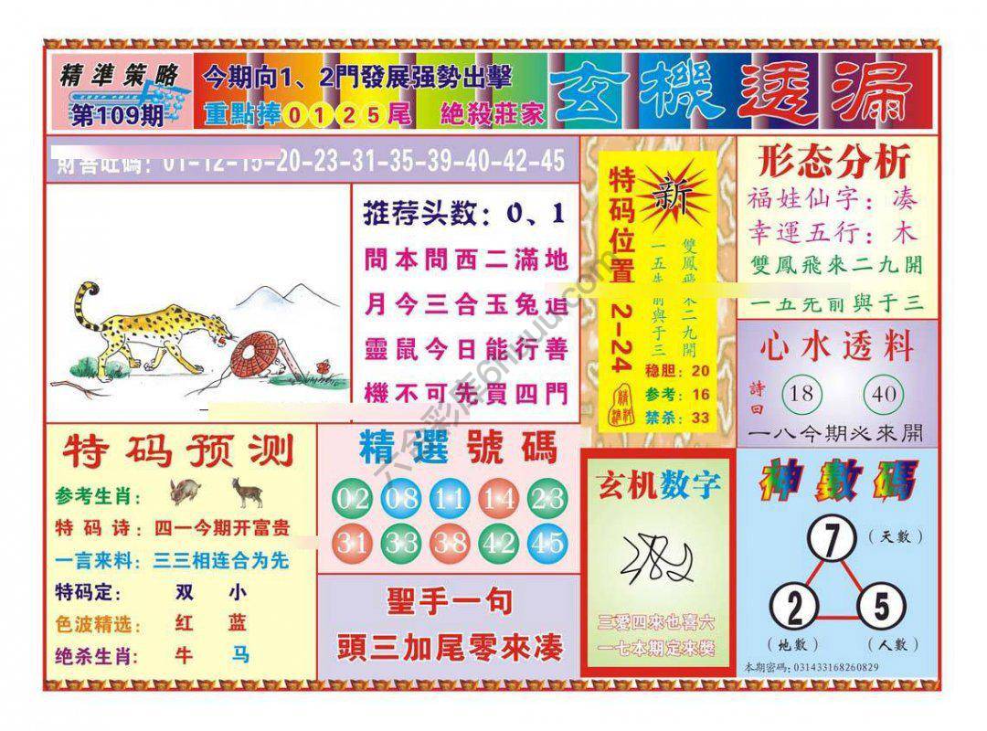 玄机透漏