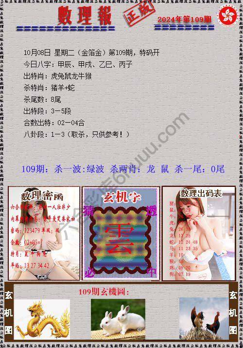 数理报