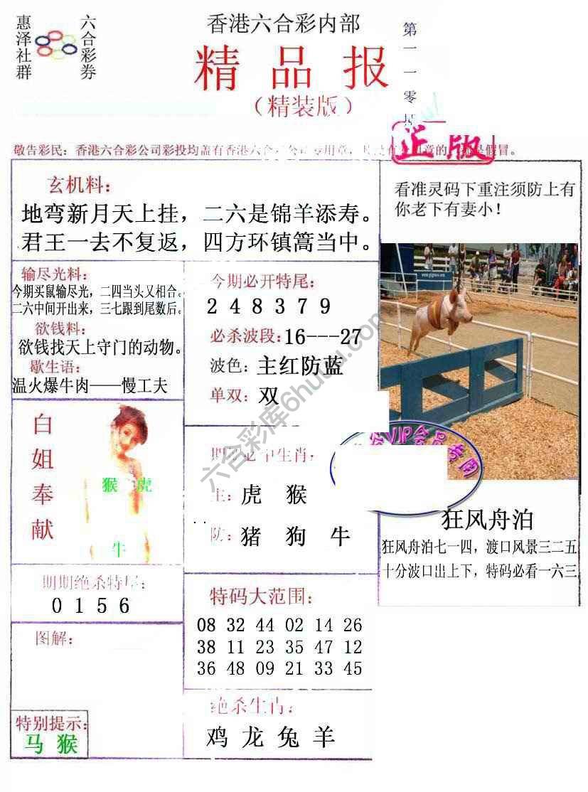 新精品报