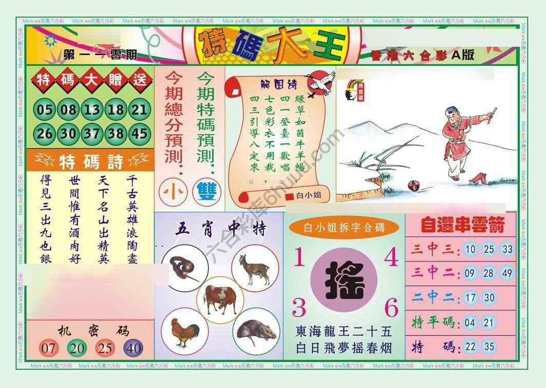 特码大王