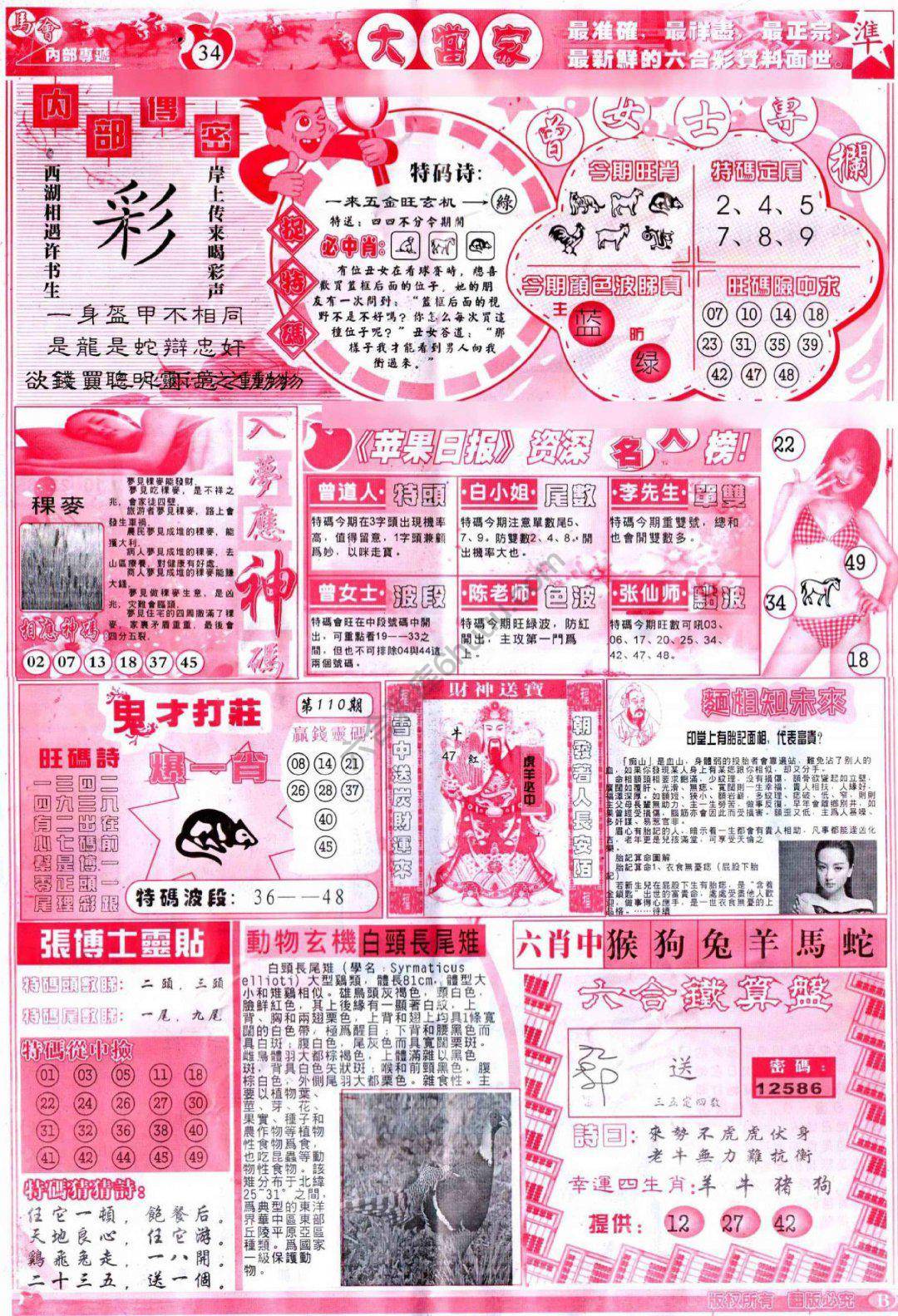 大当家
