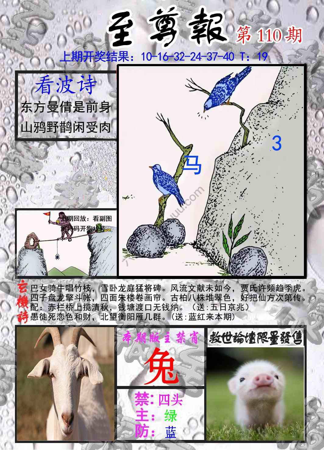 至尊报