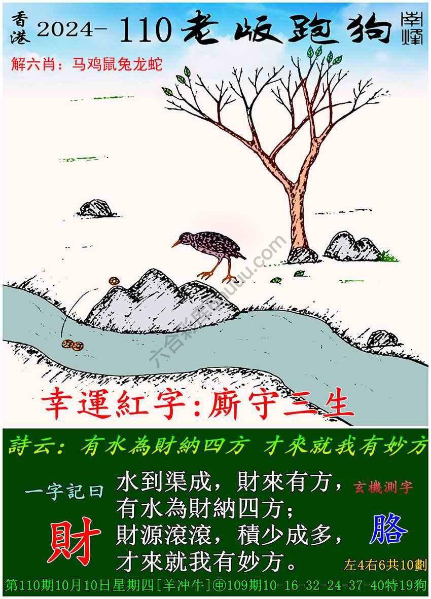 老版跑狗图