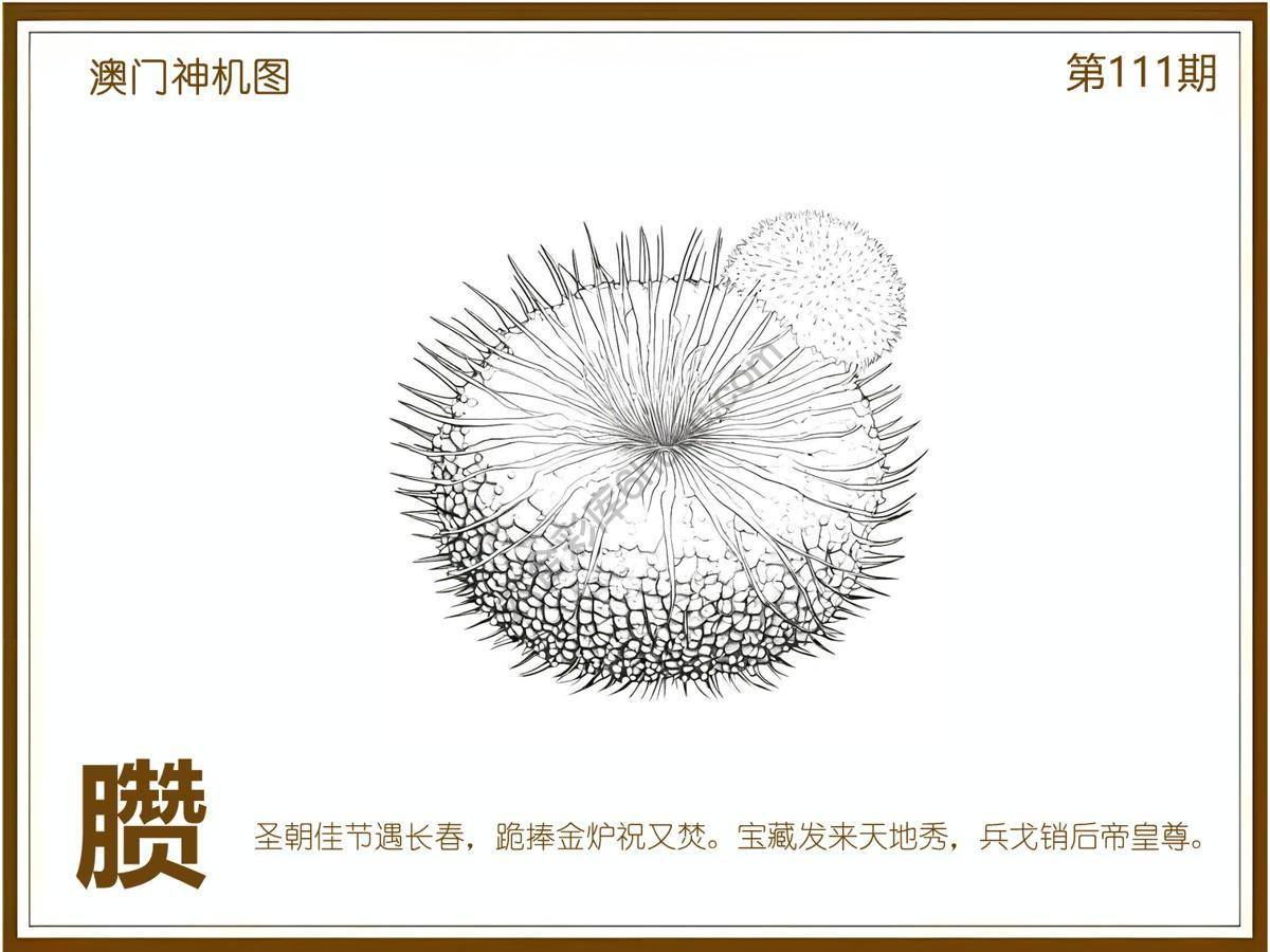 澳门神机图