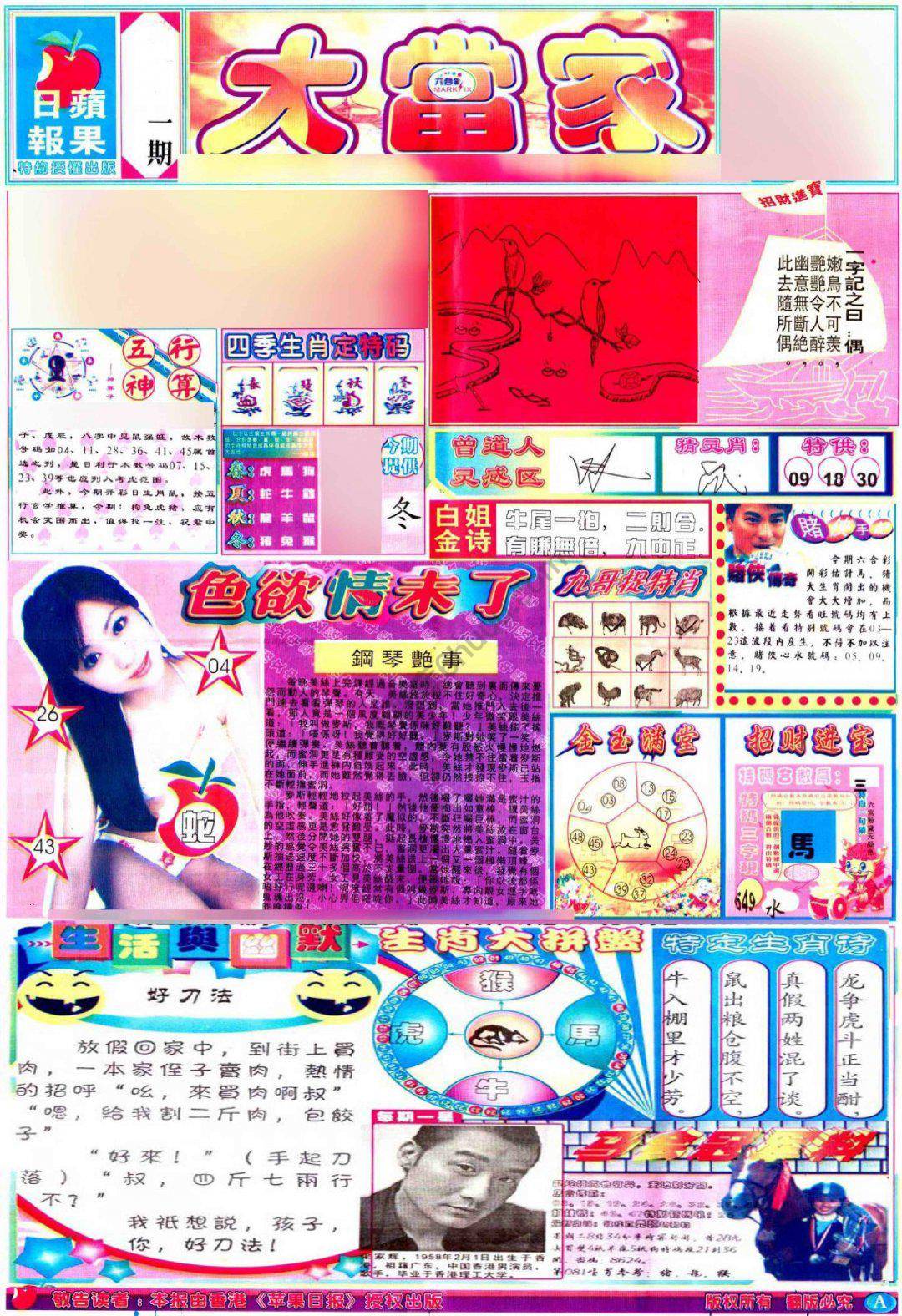 大当家