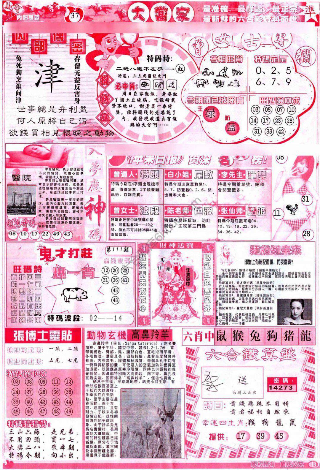 大当家