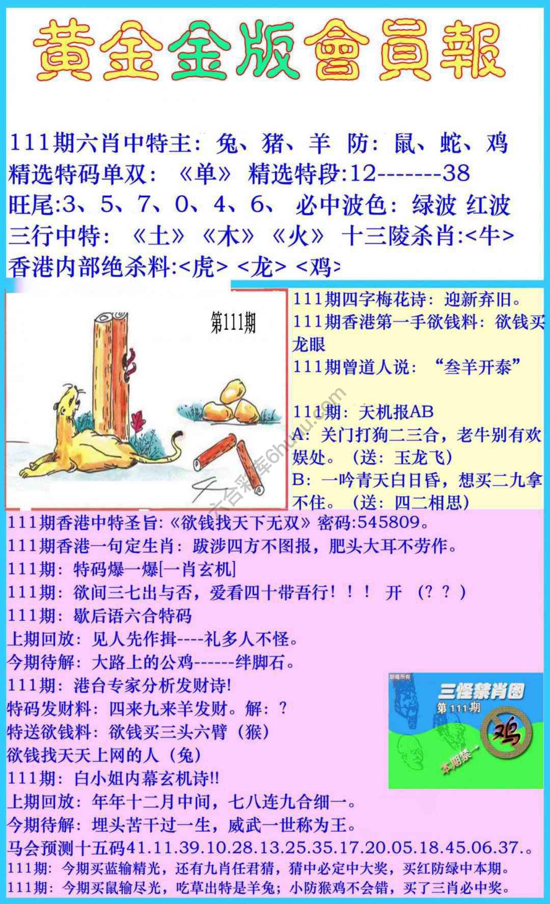 黄金金版会员报