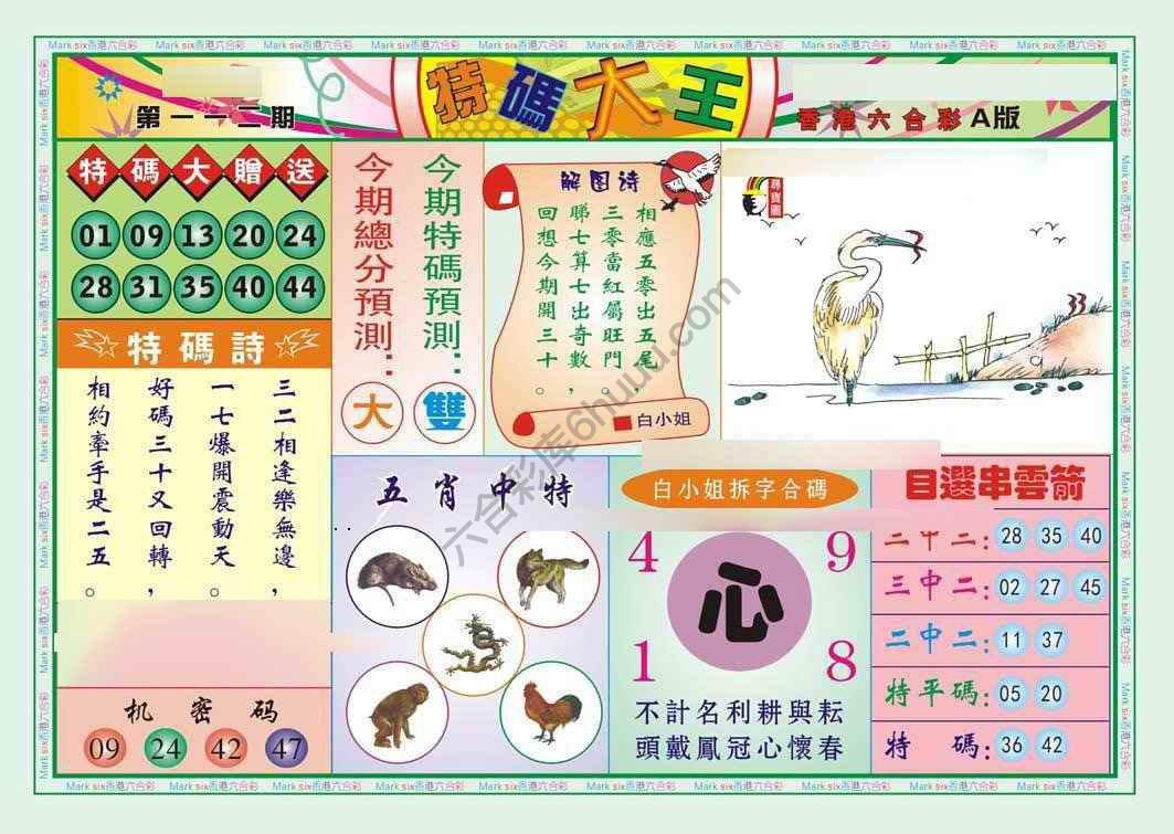 特码大王