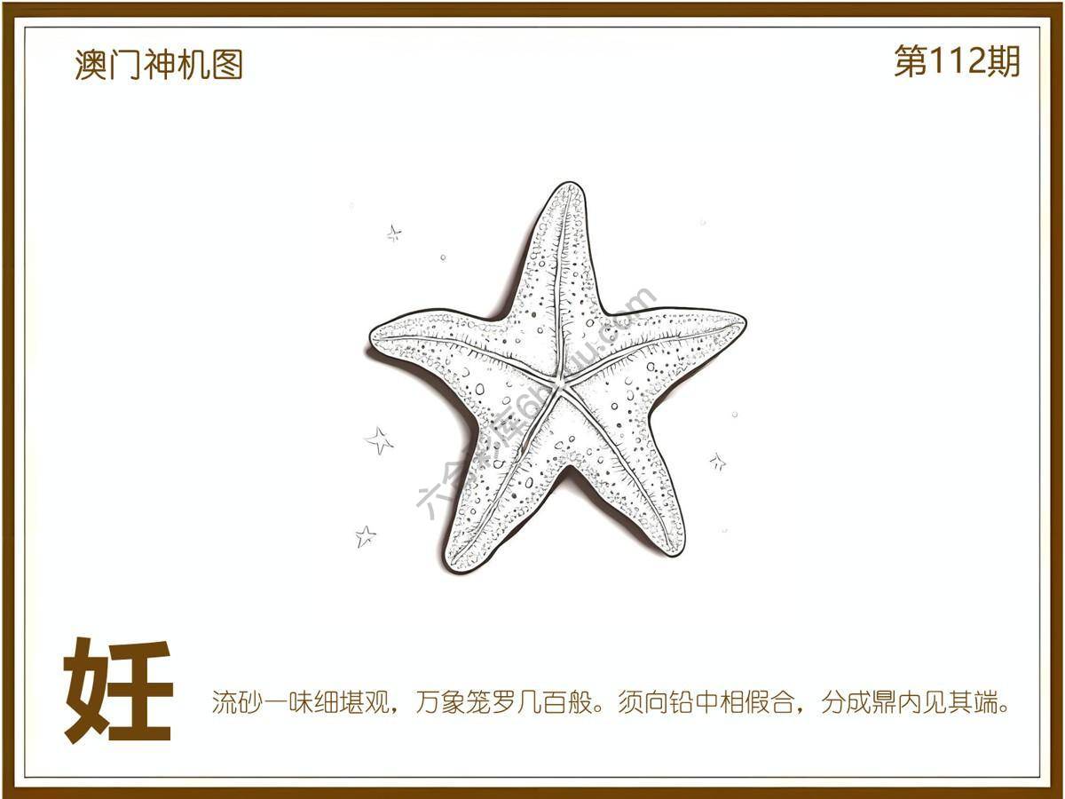 澳门神机图