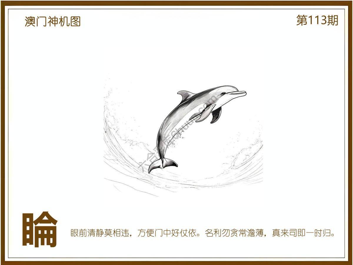 澳门神机图