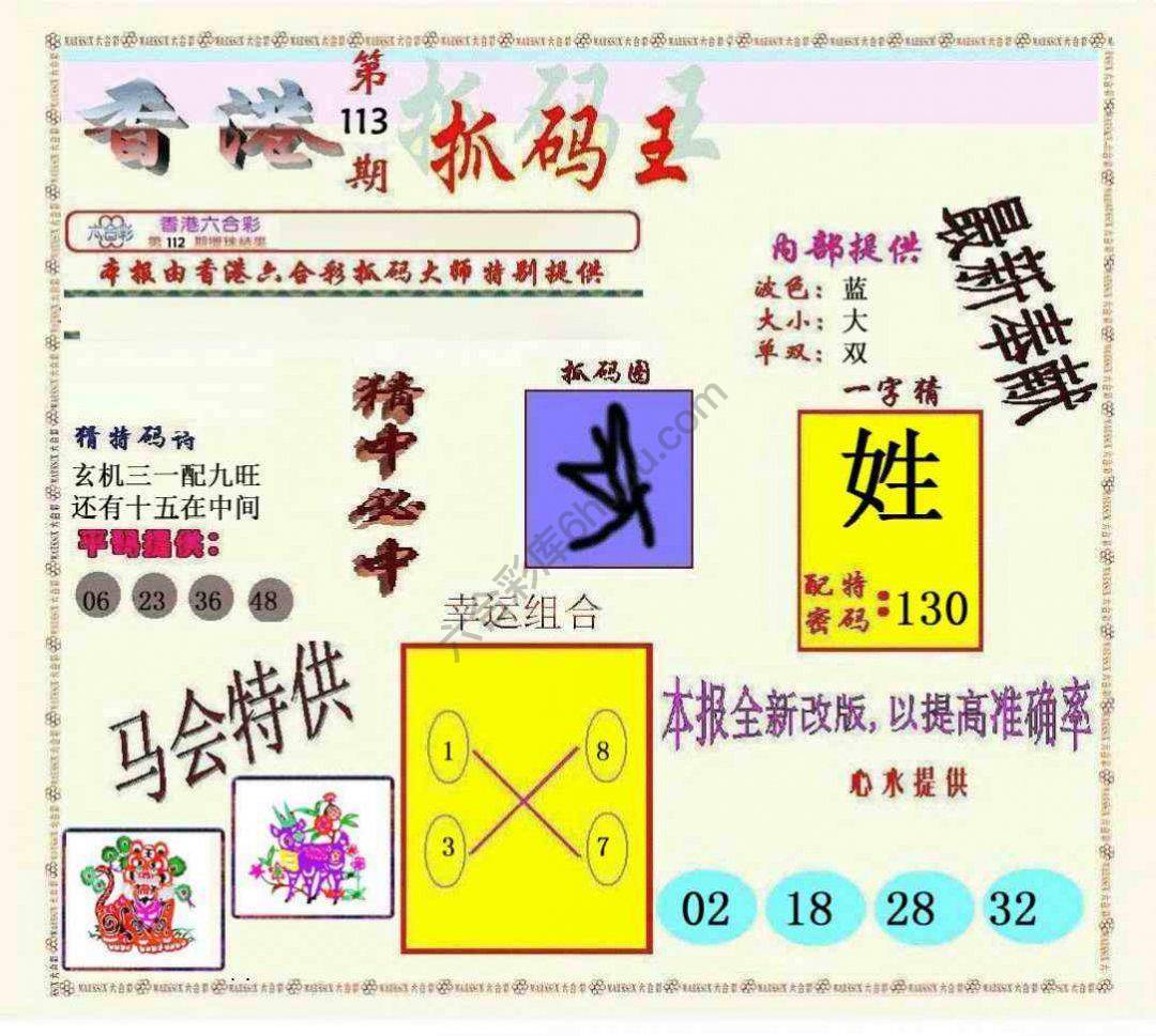 新抓码王