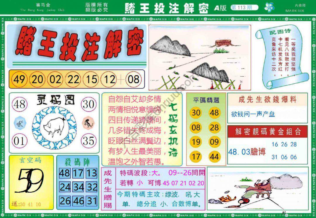 赌王投注解密