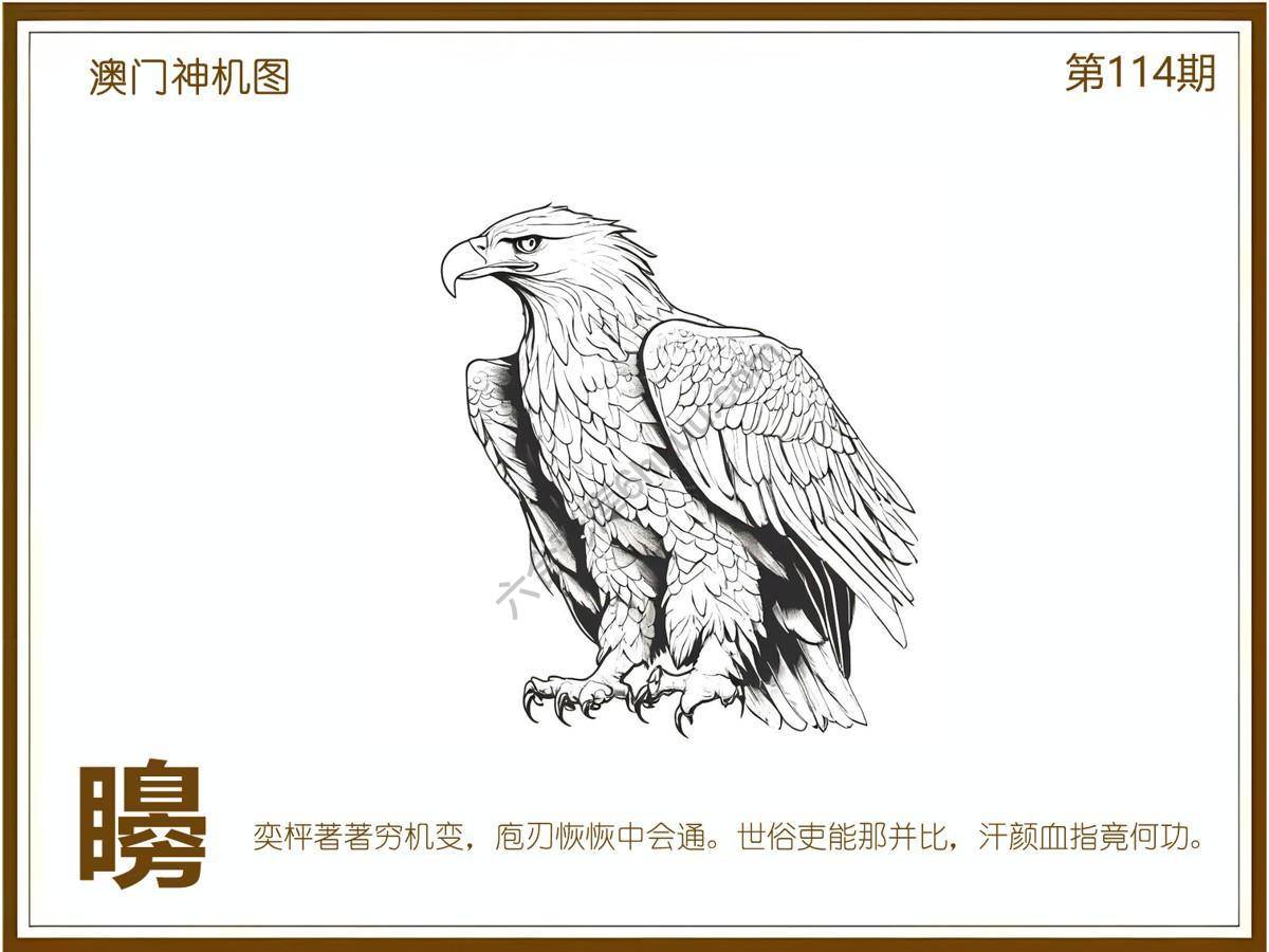 澳门神机图