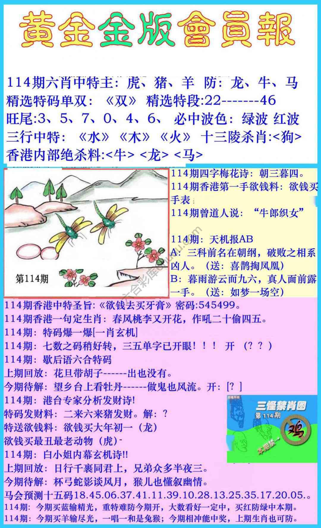 黄金金版会员报