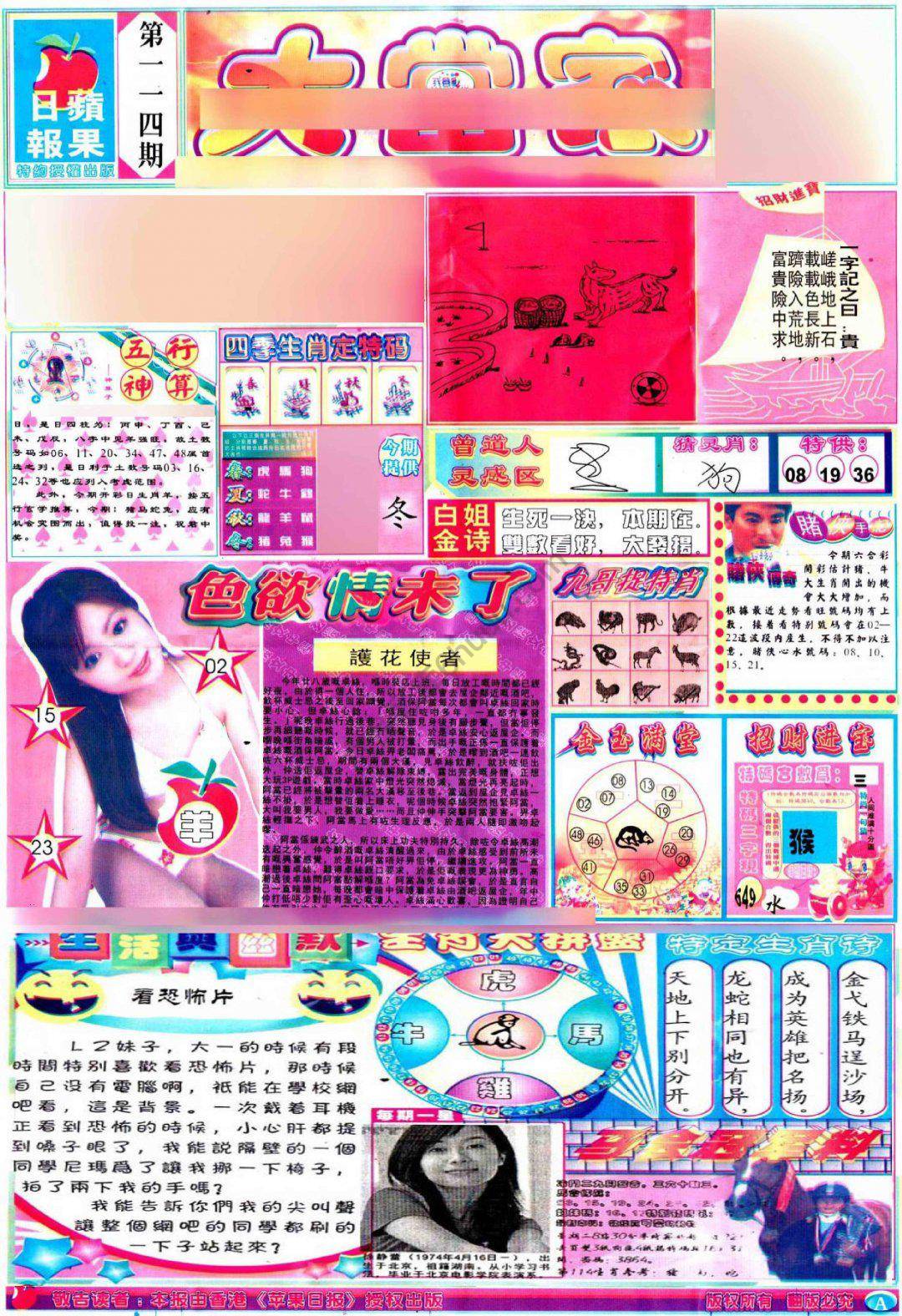 大当家