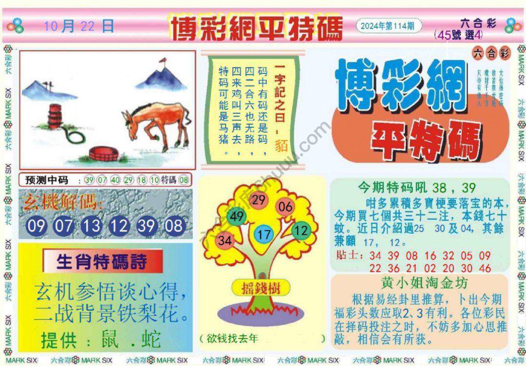 博彩网平特码