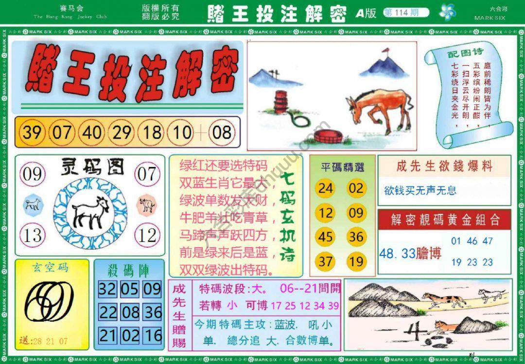 赌王投注解密