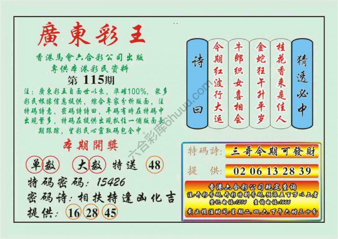 广东彩王